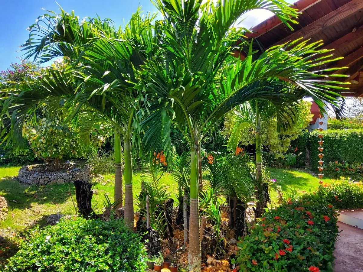 Hillhouse Villa Rio San Juan Dominican Republic