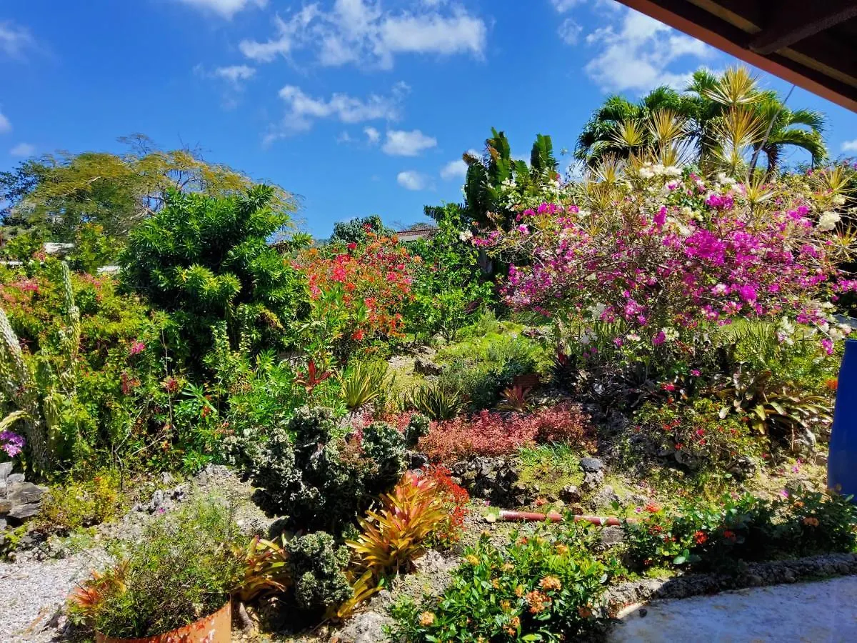 Hillhouse Villa Rio San Juan 0*,